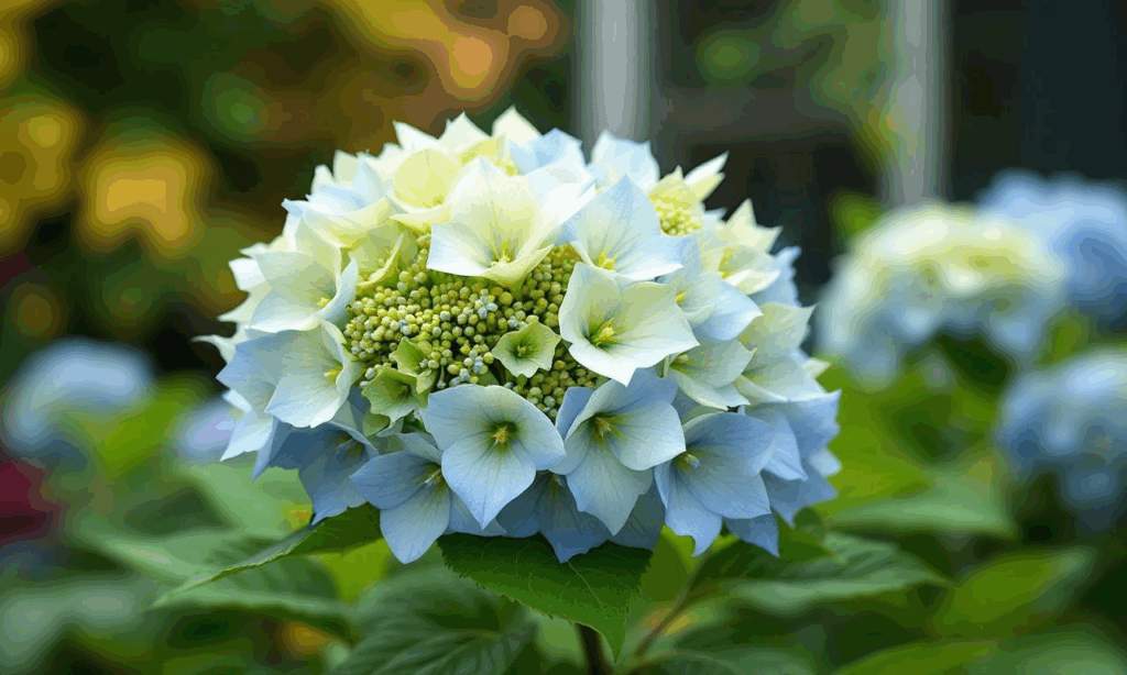 Deze simpele truc houdt je hortensia’s de hele herfst in bloei